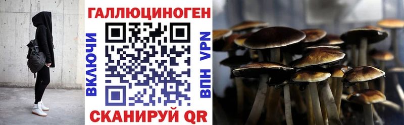 Галлюциногенные грибы Magic Shrooms  цены наркотик  Терек 
